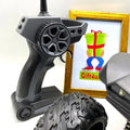 4WD RC Climbing Truck pistol-grip remote controller close-up